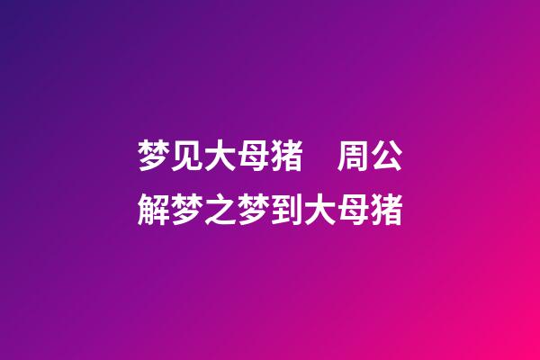 梦见大母猪　周公解梦之梦到大母猪